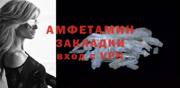 гидра Мегион
